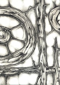 Organic Interlocking Forms