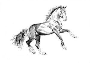 Rearing Majestic Horse by Kulik