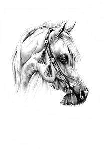 Regal Arabian Horse Portrait by Kulik