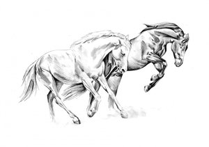 Spirited Equine Dance by Kulik