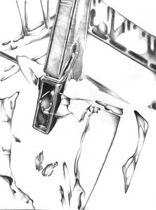 Still Life Art Drawing