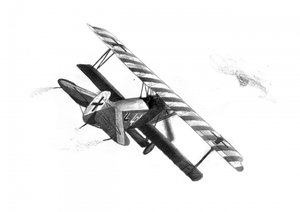 WWI Triplane Combat
