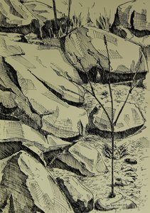 Young Tree Among Rocks by Kulik