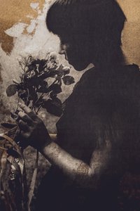Quiet Rose Moment by Kurosaki Sangan