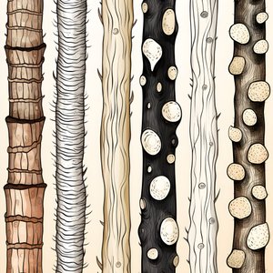 Tree Trunk Sections, Boho Clipart, Boho Drawing Pattern, Boho Trunk 1