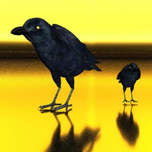 Texture with Ravens by Kurt Heppke