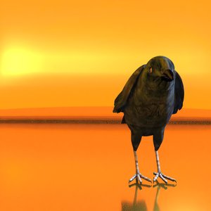 How to Create an Artistic Texture with Ravens by Kurt Heppke
