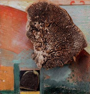 Untitled (Merz Picture with Coral) by Kurt Schwitters
