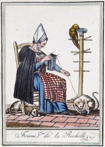 Woman of La Rochelle knitting with a dog, a parrot and a cat playing with the ball of wool by L.F. Labrousse
