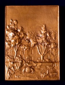 Insects, 1911