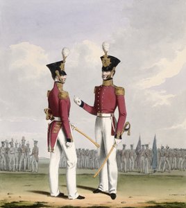 Field Officers of the Royal Marines, Plate 2 from 