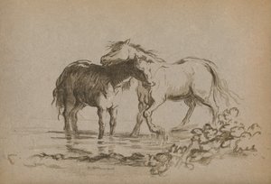 Horses