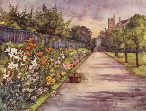 Herbaceous Border, Lambeth Palace by Lady Victoria Marjorie Harriet Manners