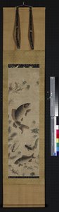 Fish in a Lake