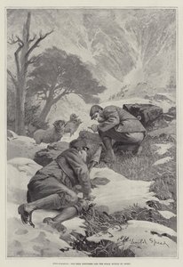 Hind-Stalking, the Deer disturbed and the Stalk ruined by Sheep