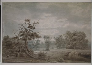 Forest landscape from Dusseldorf