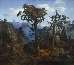 Old Pines
