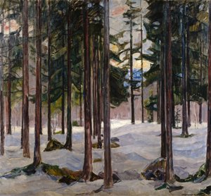 Trees in winter light