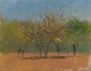Trees in Blossom