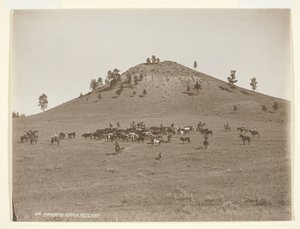 Working a Little Bunch in the Hills, c. 1900 by Laton Alton Huffman