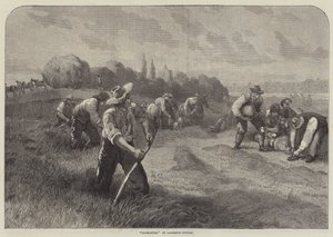 Haymakers by Lawrence Duncan