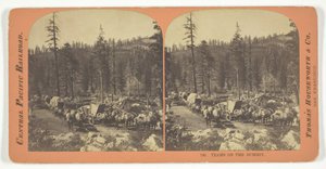 Teams on the Summit by Lawrence and Houseworth