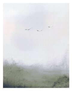 Birds Flying Over a Field by Leah Straatsma