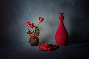 Elegant Red Rose Still Life