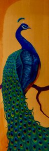 Paon I by Lee Campbell