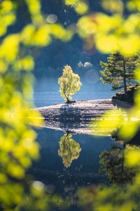 Druid’s Rest II
