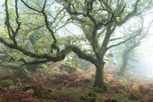 The Old Path