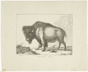 Bison by Leendert Brasser