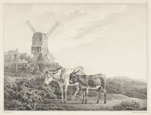 Two Donkeys in a Landscape by a Mill (Six Stone Drawings by L. de Koningh) by Leendert de Koningh