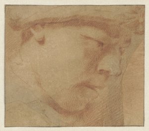 Head of a Boy, Facing Right by Leendert van der Cooghen (manner of)