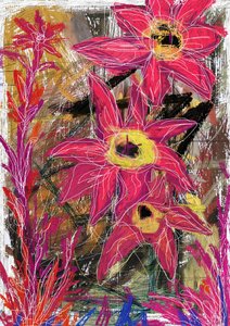Vibrant Pink Blooms by Lembayung senja studio [Vintage Poster]