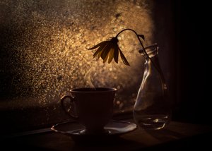 Golden Light Coffee Flower by Lenka