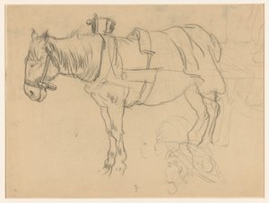 Harnessed Horse and Head Studies
