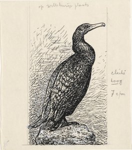 Cormorant by Leo Gestel