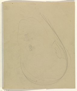 Contours of a Head