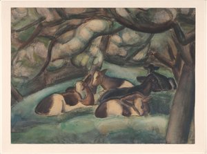 Cows in the Beemster