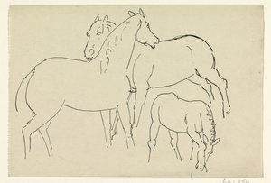 Two Horses and a Foal