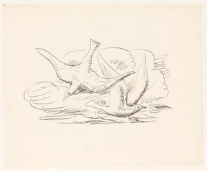 Two Seagulls