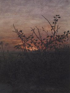 Blackthorn (?) in Front of a Landscape at Sunset