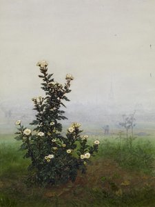 Feverfew in front of a Landscape, Issy-les-Moulineaux (?) by Léon Bonvin