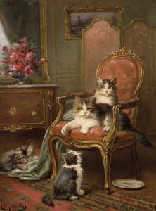 The Favourite Chair