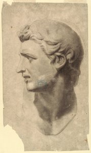 Study of a Classical Male Head (from a plaster cast), 1881–92 by Leon Dabo