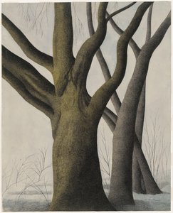 Big Tree by Leon Spilliaert
