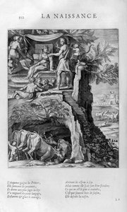 The Birth