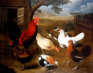 A Farmyard Scene with a Rooster