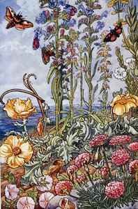 Illustration from 